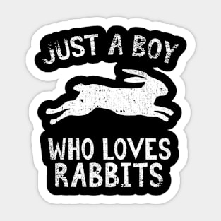 Just A Boy Who Loves Rabbits Sticker